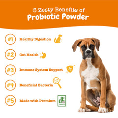 Gros plan poudre Zesty Paws montrant texture fine pour mélange facile