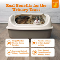 Zesty Paws tube ouvert montrant embout pratique pour administration facile