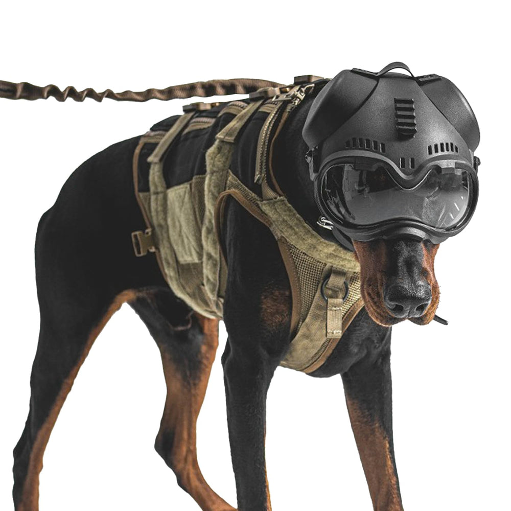 Zhongren casque avant packaging montrant protection et design cool