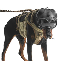 Zhongren casque avant packaging montrant protection et design cool