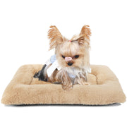zihapgpzp lit face avant montrant confort et dimensions adaptées au chien
