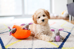 ZippyPaws housse carotte lavable montrant propreté et entretien facile