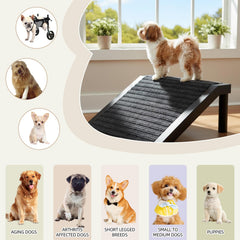 ZJDJEZJD chien senior utilisant la rampe pour monter confortablement