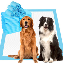 ZJYXJK tapis face avant emballage montrant lot de 40, protection facile