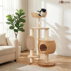 Zonoria Zephyria nid citrouille tressé gros plan offrant cachette confortable