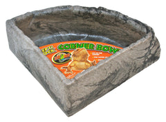 Zoo Med Reptile Rock coin grand montrant la taille et facilité de trempage