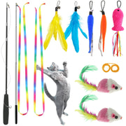 ZPH baguette extensible face avant montrant longueur et fixation, stimule l'exercice