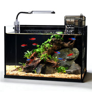 ZXIE-Cloud aquarium vue de face montrant clarté et design