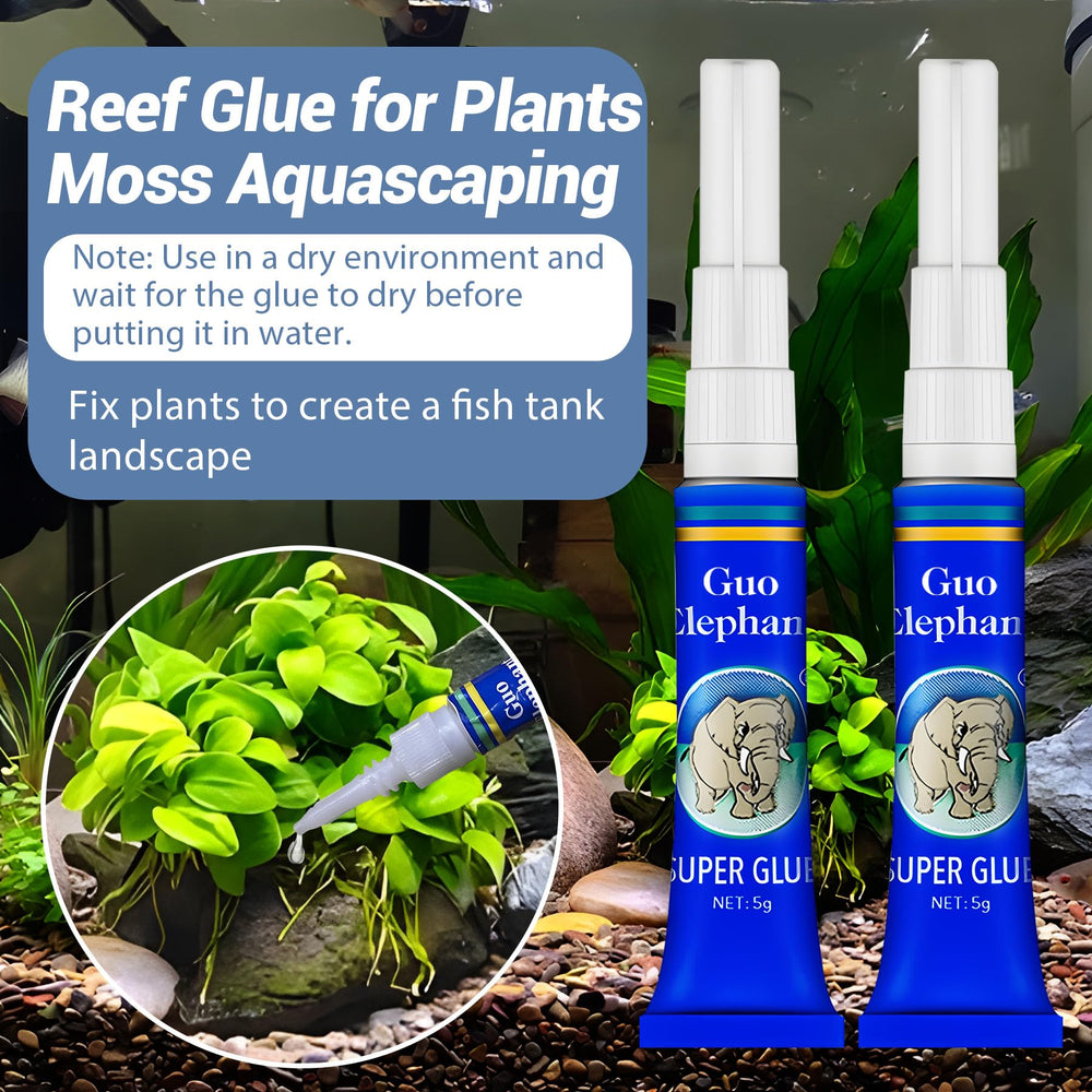1DFAUL gros plan application de la colle sur plante montrant texture et contrôle facile