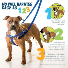 2 Hounds Design anneau frontal en inox pour redirection sans effort