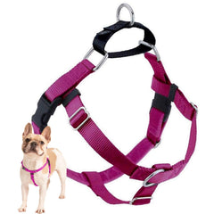 2 Hounds Design harnais avant vue frontale, confort et contrôle améliorés