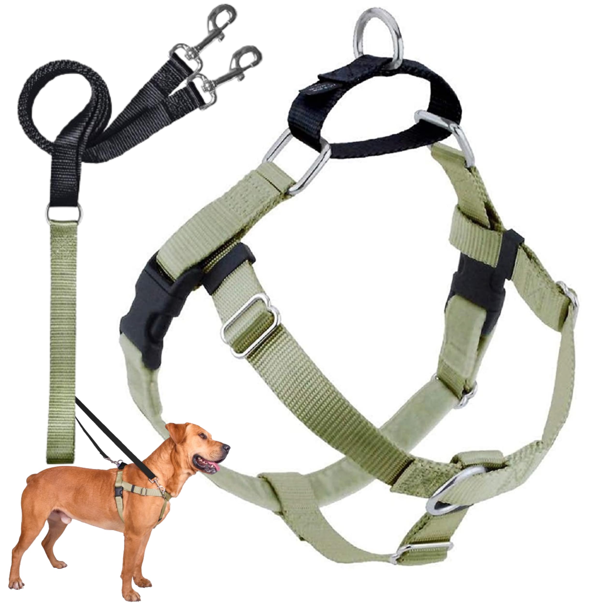 2 Hounds Design harnais face avant montrant ajustements et confort