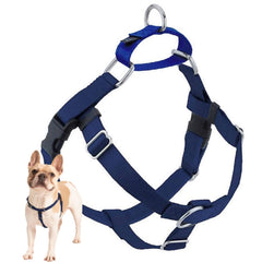 2 Hounds Design harnais face avant Navy montrant maintien et contrôle