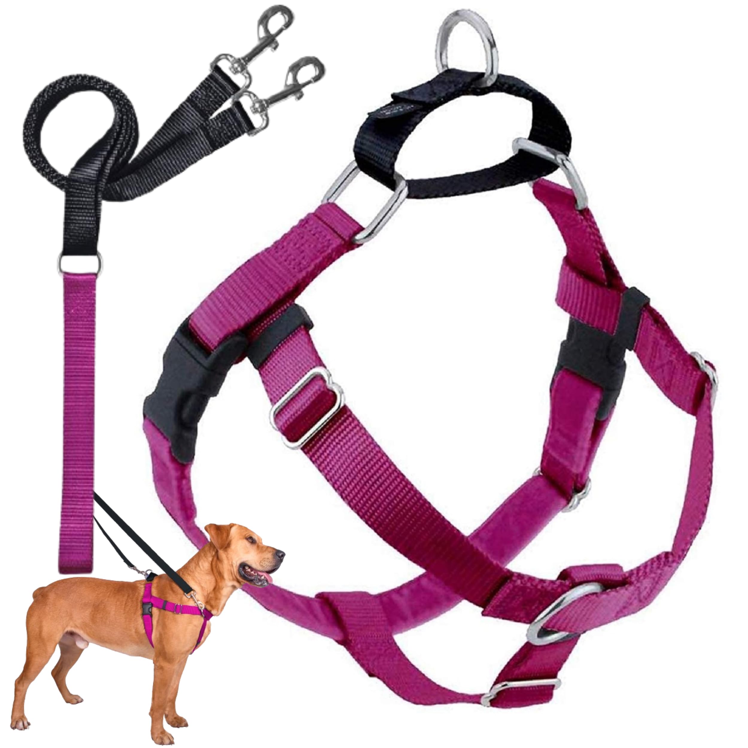 2 Hounds Design harnais face avant raspberry offrant contrôle et confort