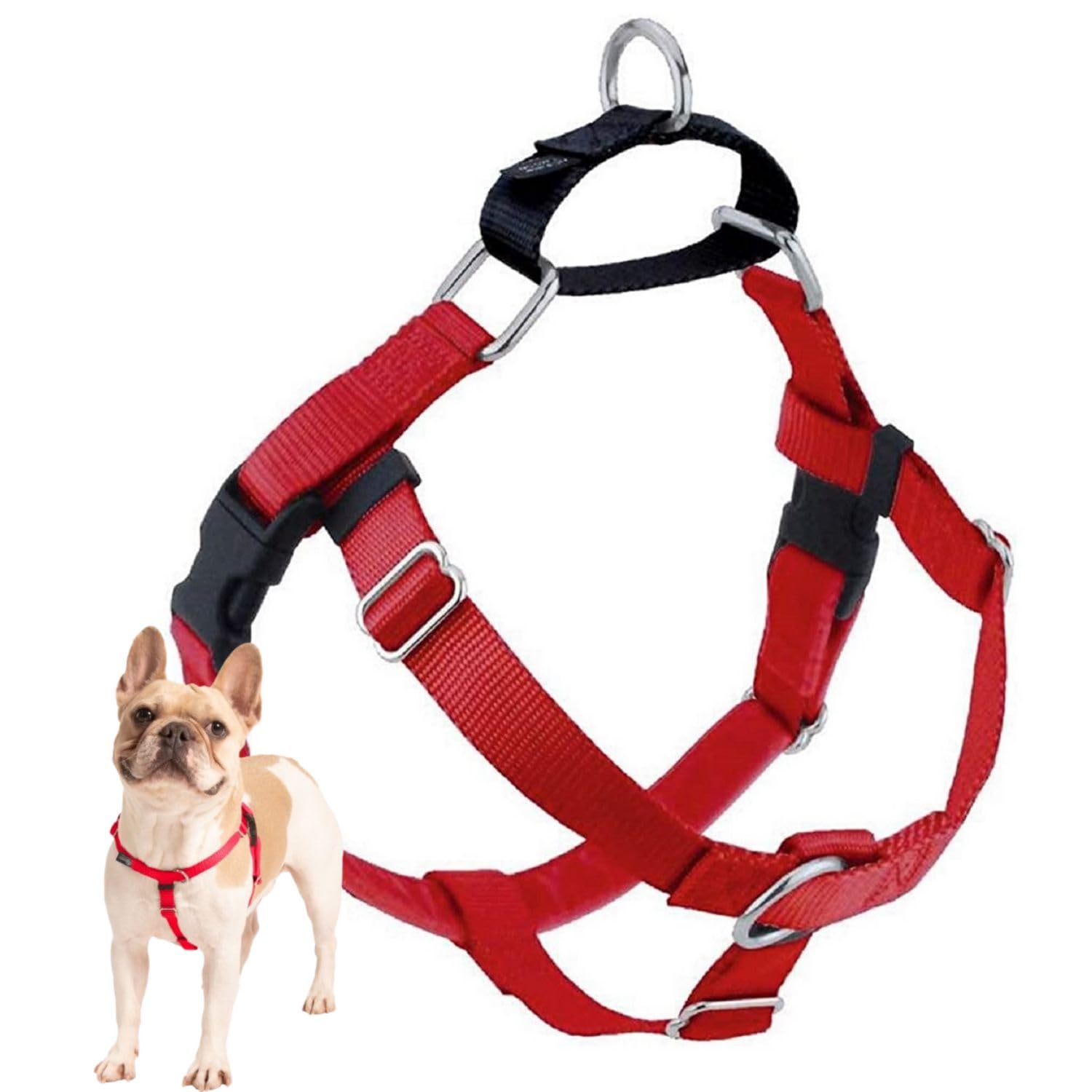 2 Hounds Design harnais face avant rouge montrant maintien et contrôle