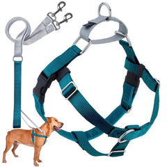 2 Hounds Design harnais face avant montrant contrôle et confort
