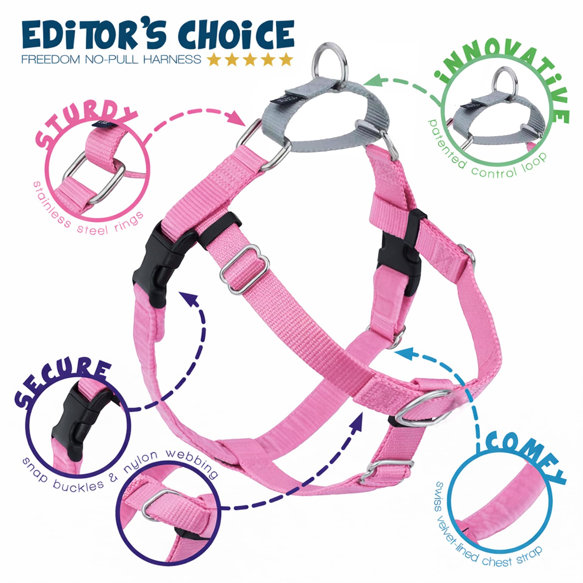 2 Hounds Design boucles inox résistantes garantissant durabilité