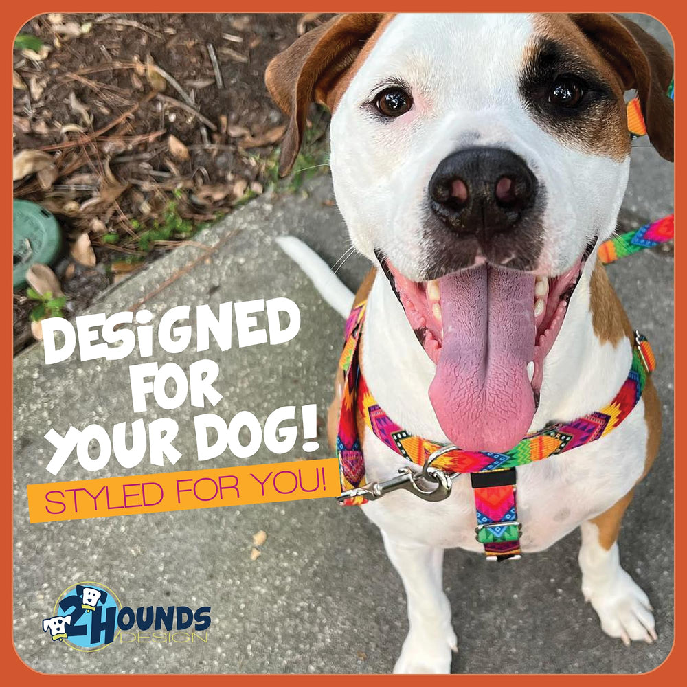 2 Hounds Design harnais présenté avec règle pour comparaison de taille