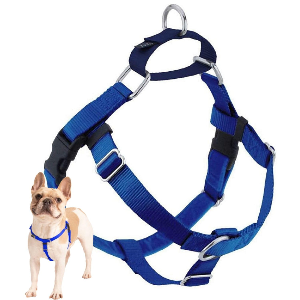 2 Hounds Design harnais face montrant coupe et maintien, confort accru