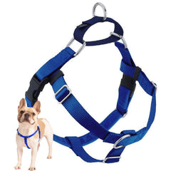 2 Hounds Design harnais face montrant coupe et maintien, confort accru