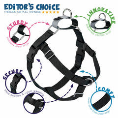 2 Hounds Design harnais porté sur labrador améliorant promenades