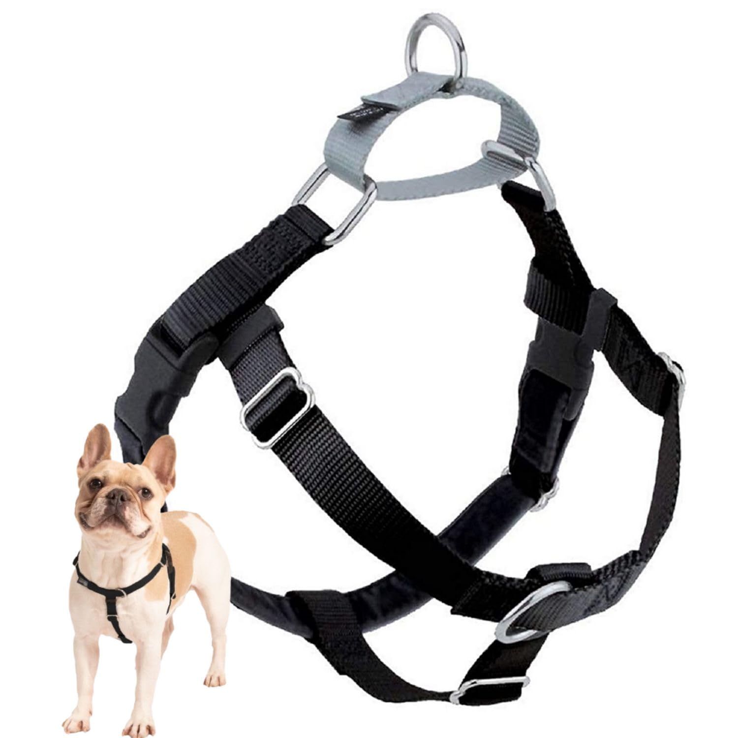 2 Hounds Design harnais vu de face offrant contrôle et confort