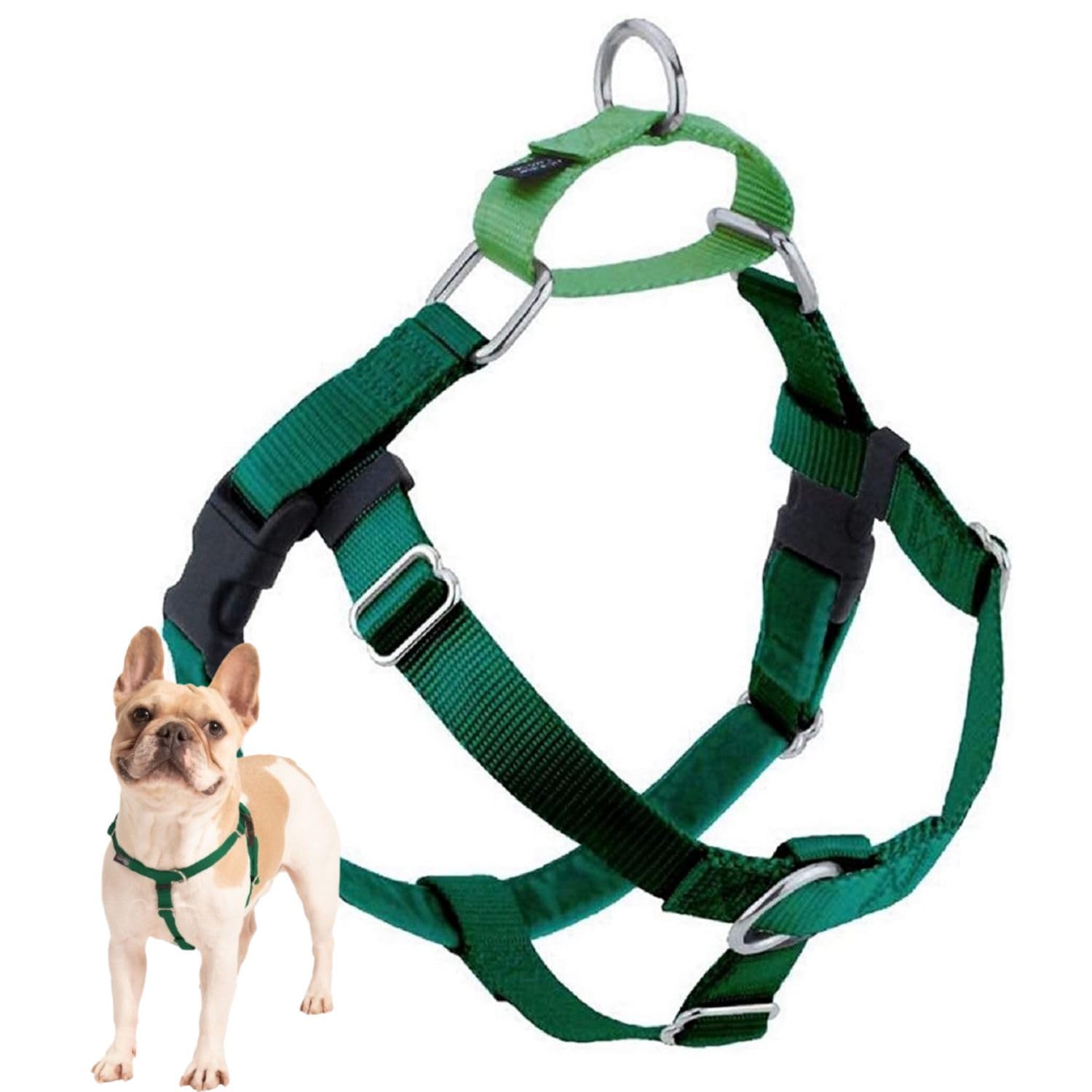 2 Hounds Design harnais face en Kelly Green, visibilité et contrôle améliorés