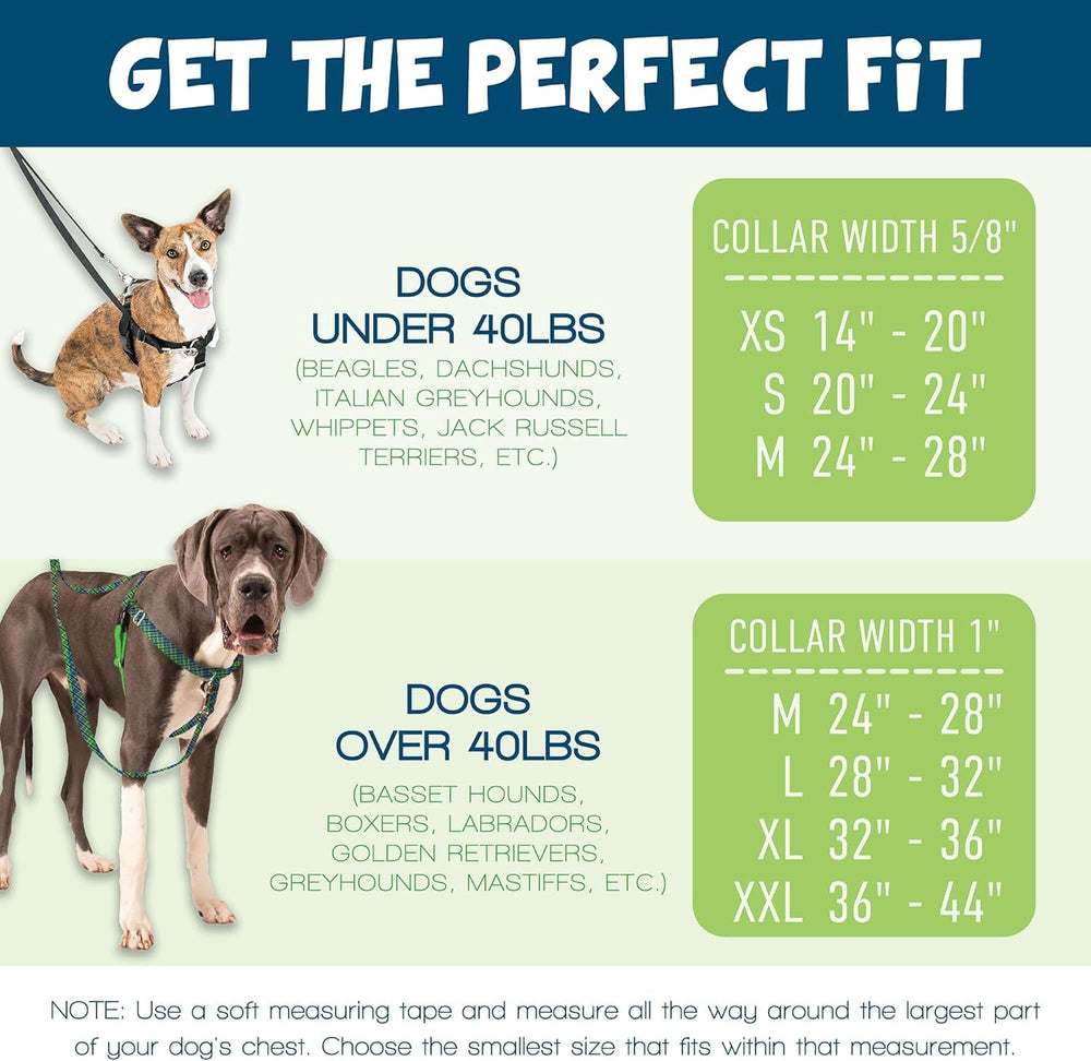 2 Hounds Design nylon robuste et boucles inox durables et fiables