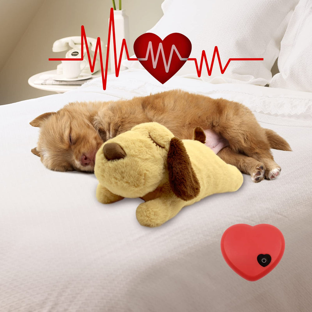 3T GROUP peluche sur lit de chiot créant ambiance rassurante