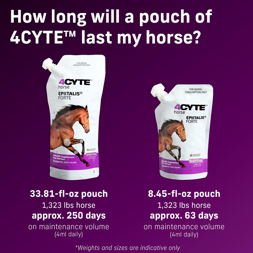 Cheval recevant 4CYTE Epiitalis Forte en pâture montrant confort de mouvement