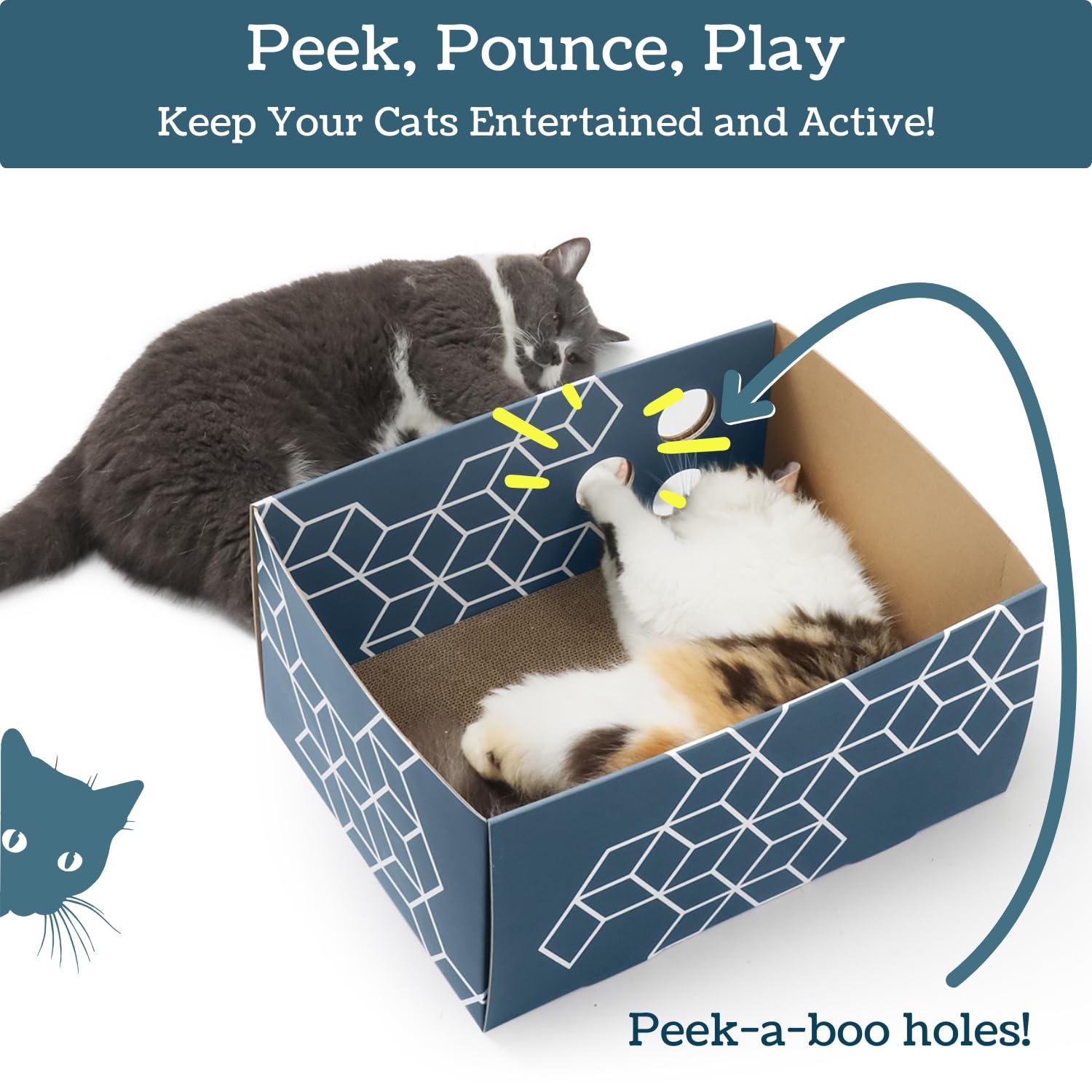 5609PETS vue intérieure de la cachette favorisant le jeu et repos