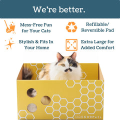 5609PETS comparaison d'échelle montrant la taille pour grands chats
