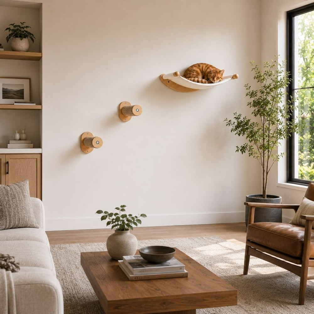 7 Ruby Road emballage et accessoires montrant pièces et manuel