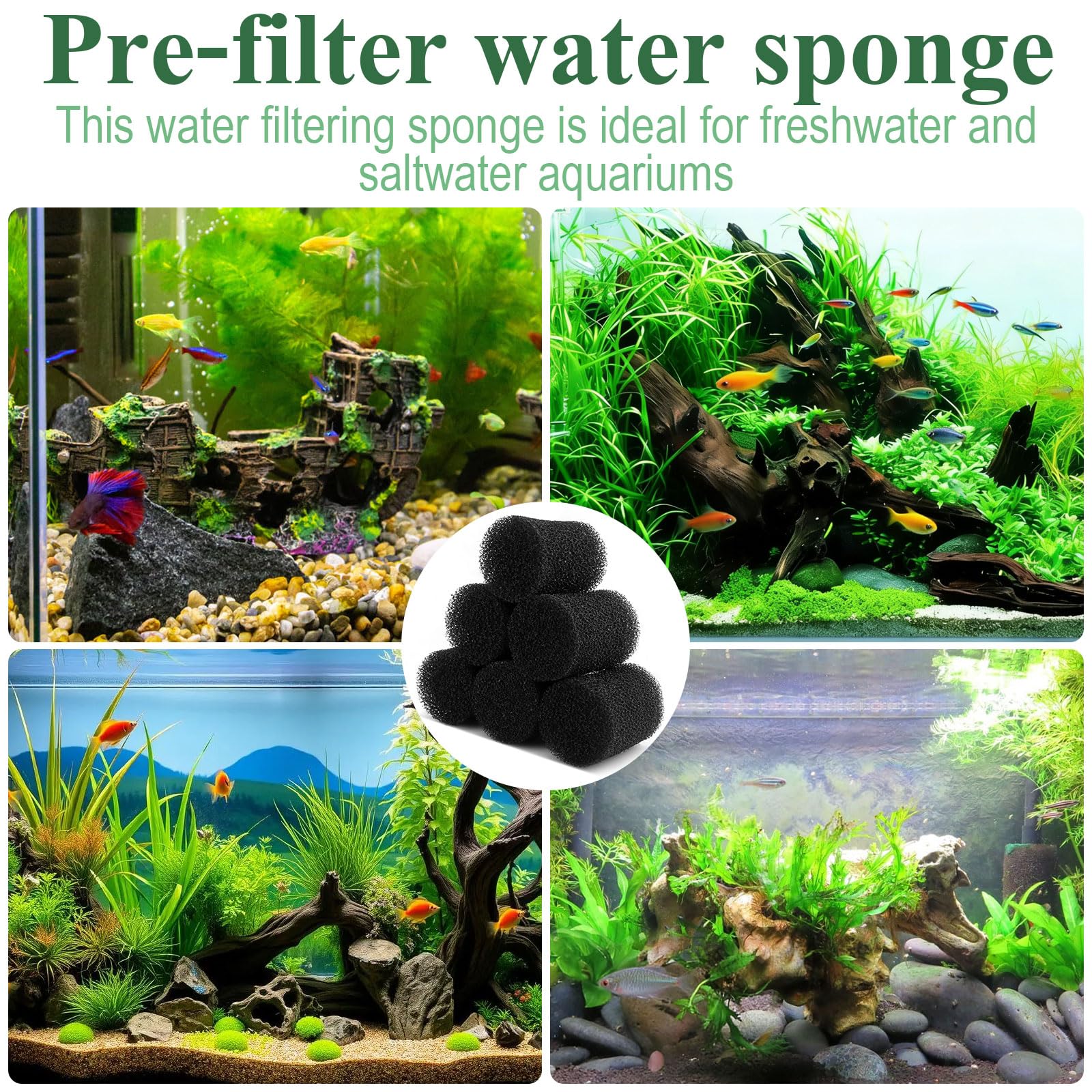 8B8B mousse installée sur l'entrée Fluval AC70 protégeant poissons et crevettes