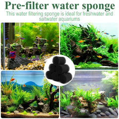 8B8B mousse installée sur l'entrée Fluval AC70 protégeant poissons et crevettes