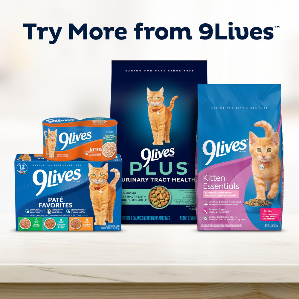 9Lives mélange couleurs et formes de croquettes, stimulation sensorielle