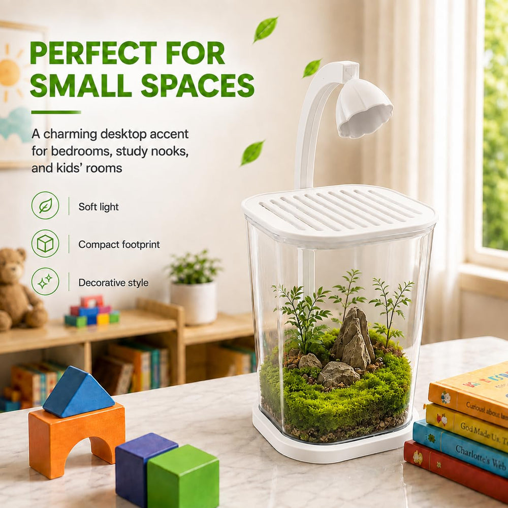 ZOOXIET aquarium en usage avec crevette, atmosphère apaisante au bureau