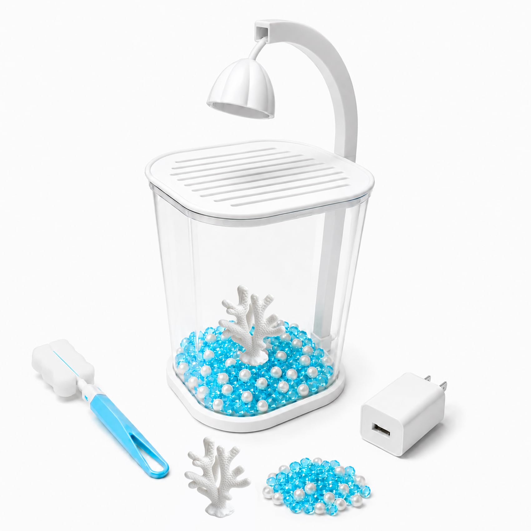 ZOOXIET mise en scène sur bureau apportant décoration et bien-être