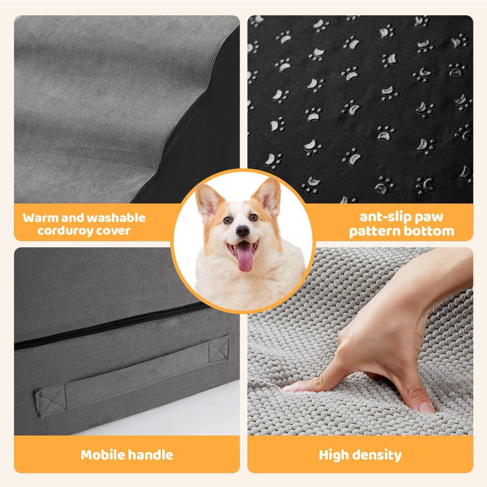 A.FATI escalier chien en situation dans chambre montrant usage quotidien pratique