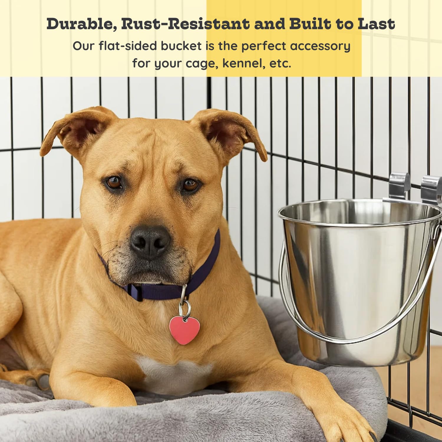 AASPIRE PETS seau rempli d’eau illustrant capacité de 6 quart