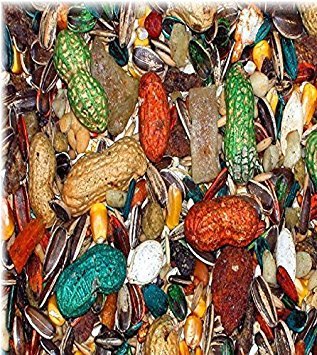 ABBA gros plan granules mélange nutritif visible texture et qualité