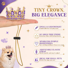 Abbylike couronne portée par petit chien pour séance photo