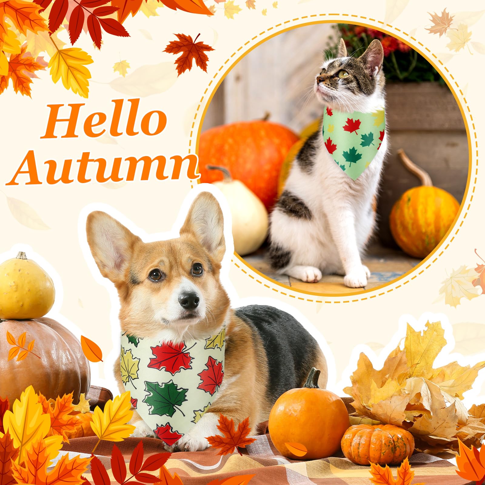 Abbylike mise en scène picnic d'automne, parfait pour fêtes et Thanksgiving