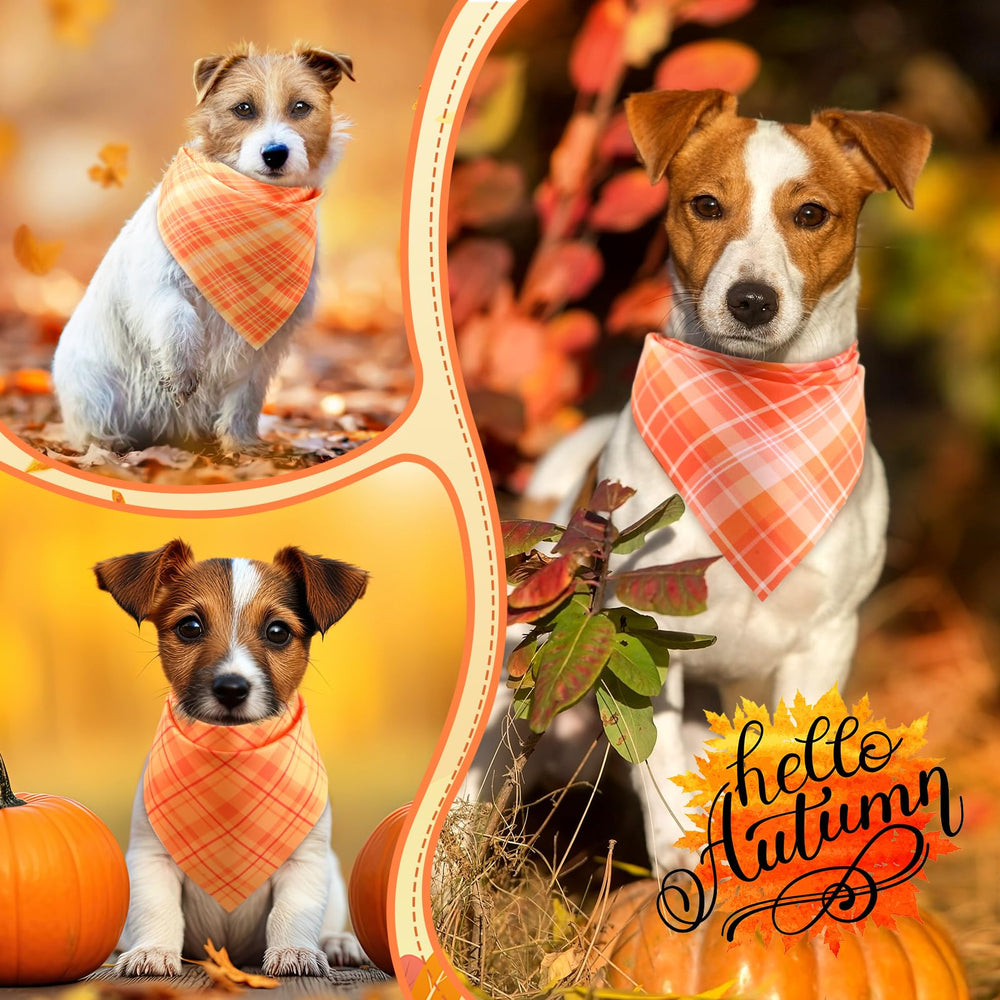 Abbylike bandanas en scène automnale montrant ambiance festive