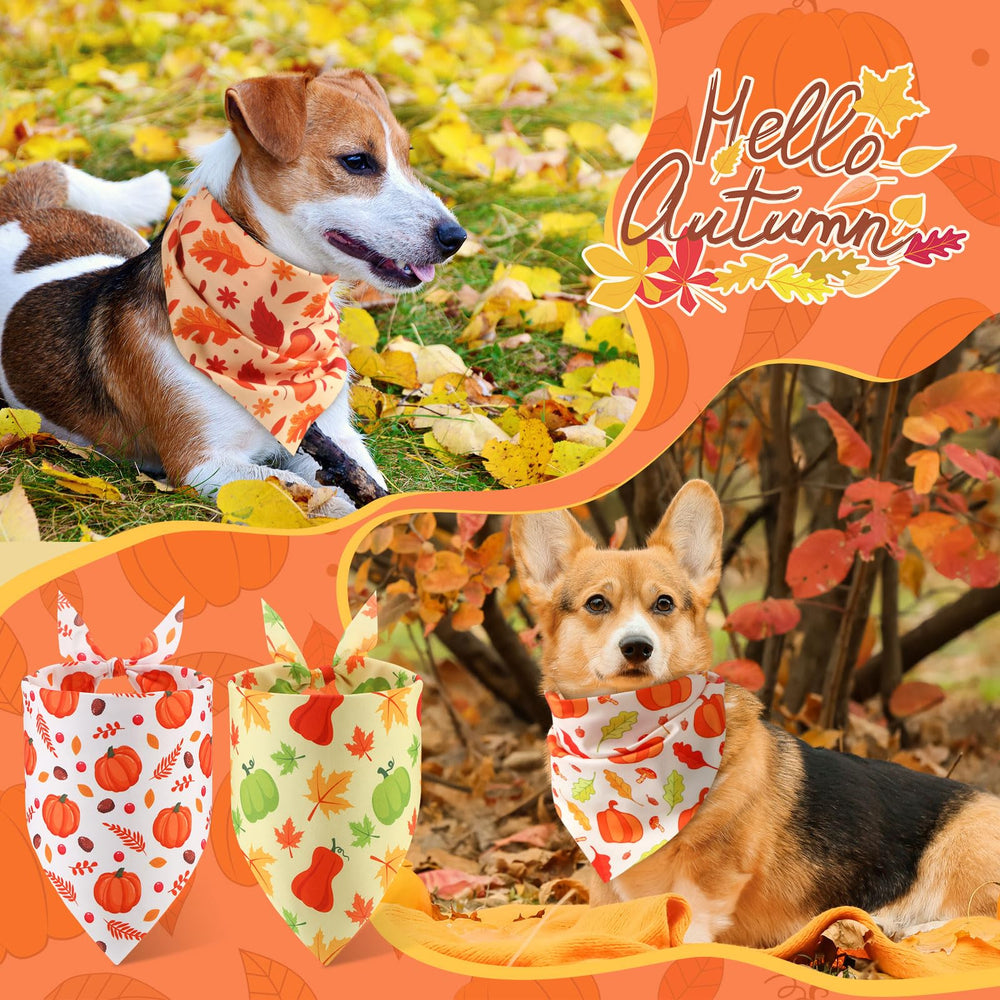 Abbylike gros plan motif citrouille attirant pour photos automnales