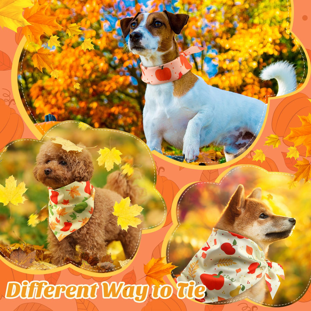 Abbylike présentation sur table de fête automne pour inspiration déco