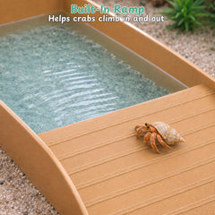 ABEL CRAFTS bassins installés dans un terrarium améliorant organisation habitat