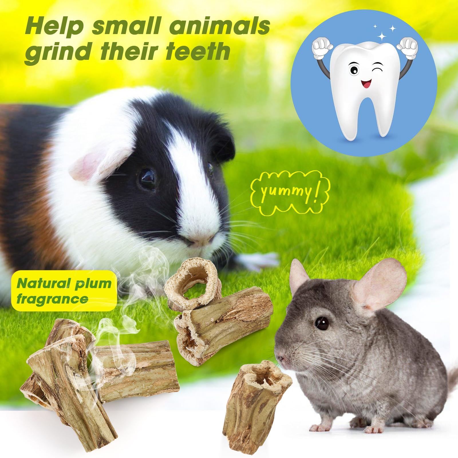 Abizoo un lapin mâchouillant un bâton, divertissement et activité masticatoire