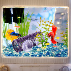 Abizoo Betta Cave avec mousse décoration encourage abri naturel