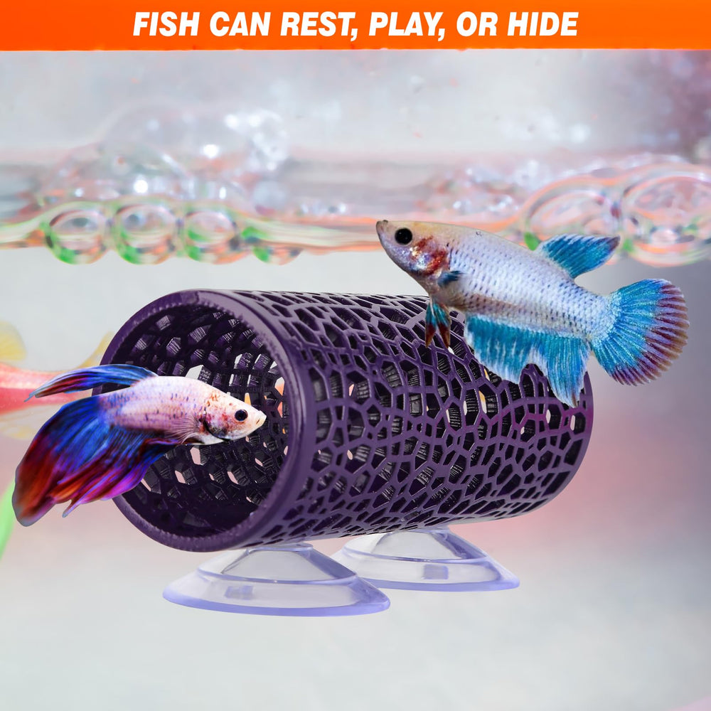 Abizoo Betta Cave échelle taille comparée à un betta pour échelle